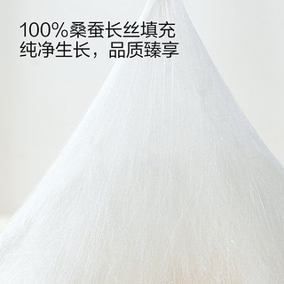 太湖雪 100%桑蚕长丝抗菌手工子母被 净重1+2/1+2.6/1+3斤