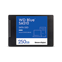 西部数据 WD/西部数据 蓝盘SA510 250G SATA固态硬盘SSD