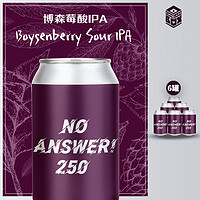 梦想酿造 no answer！250 博森莓酸IPA国产精酿啤酒330ml*6罐果泥
