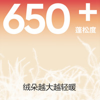 Bananain/蕉内 抗静电 男士羽绒马甲