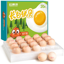 桂青源 可生食无菌鸡蛋 20枚