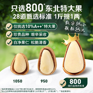 Be&Cheery 百草味 本味甄果特大颗东北松子500g健康坚果手剥开口干果800颗/斤