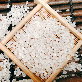 五米常香 东北大米稻香米1.5kg小包装非真空新米