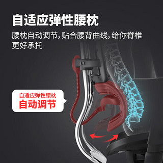 保友办公家具（Ergonor）金豪b人体工学椅办公椅子电脑椅电竞游戏椅 银白色美国网