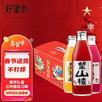 HOPE WATER 好望水 望山楂气泡水饮料 经典山楂 新年货送礼盒 果汁汽水300ml