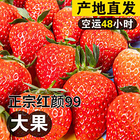 红颜99牛奶油草莓新鲜水果 礼盒装 带箱3斤