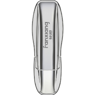 FANXIANG 梵想 FF511 USB 3.2 Gen2 固态U盘 璀璨银 256GB USB-A