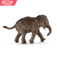 PLUS会员：Schleich 思乐 仿真动物模型 亚洲象小象