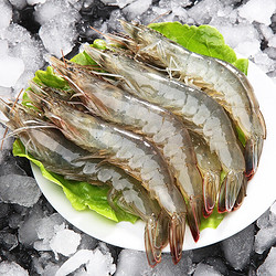 金渔犇犇 厄瓜多尔白虾 15-17厘米