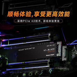 西部数据（WD） 固态硬盘 M.2接口 NVMe协议 笔记本台式机电脑高速SSD 2280 黑盘SN770 250G (PCIe4.0)