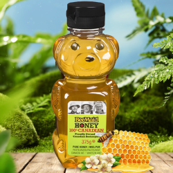 BeeMaid 必美 纯天然小熊蜂蜜375g