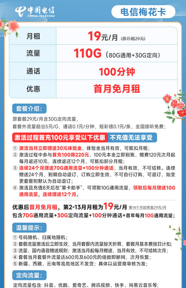 CHINA TELECOM 中国电信 梅花卡 19元月租（110G全国流量+100分钟）首月免月租