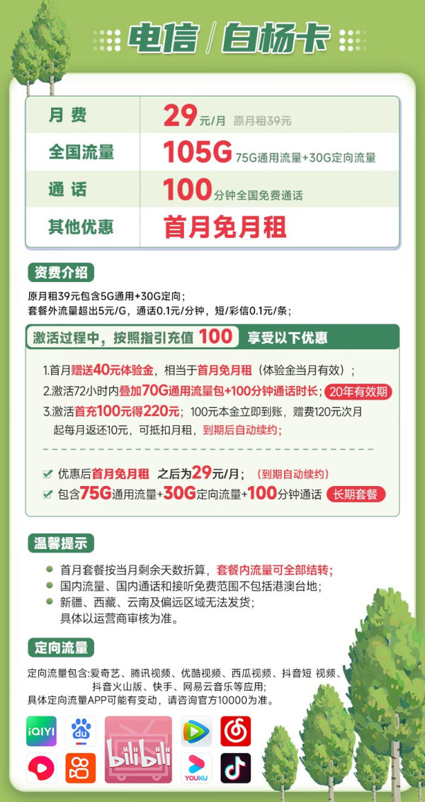 CHINA TELECOM 中国电信 白杨卡（长期20年） 29元月租（105G全国流量+100分钟通话）激活送40话费