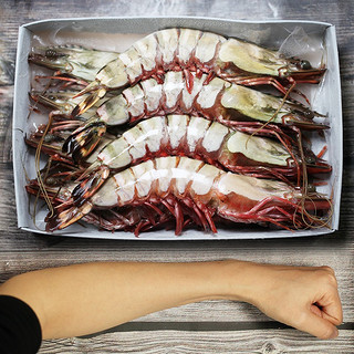 超大号巨型黑虎虾  8-10只装  长约21-24cm 净重900g