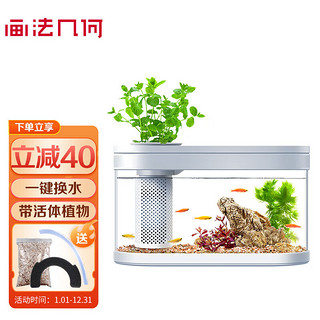 画法几何 桌面生态鱼缸水族箱C180小型鱼缸上过滤带活体植物一键换水38cm长