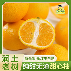 福建甜桔柚净重4.5-5斤单果201g起水果新鲜当季甜心柚子甜橘