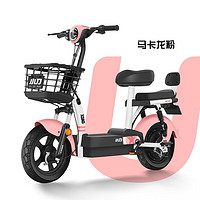 XIAODAO 小刀 新国标电动自行车 48V13A石墨烯电池