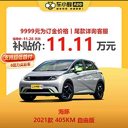 BYD 比亚迪 海豚 2021款 405KM 自由版