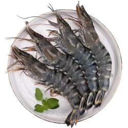 意和旺特大黑虎虾4斤4盒装净重1600g