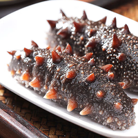 官参堂 大连即食海参 8-10只 500g 礼盒装