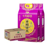 十月稻田 香稻贡米 5kg*2
