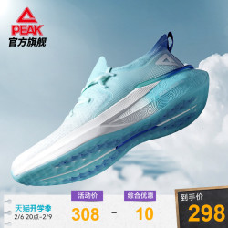 PEAK 匹克 态极3.0 男子跑鞋 E11617H 黑色/大白 42