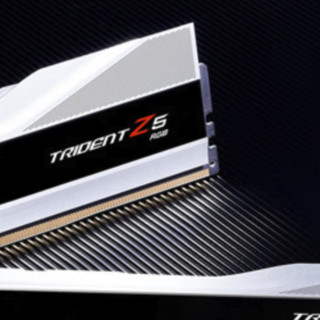 G.SKILL 芝奇 Trident Z5 幻锋戟 DDR5 7200MHz RGB 台式机内存 灯条 科技银 32GB 16GB*2