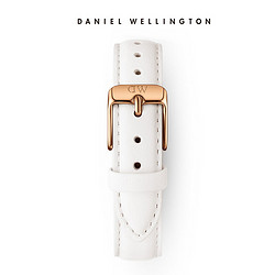 Daniel Wellington 丹尼尔惠灵顿 DanielWellington）DW表带14mm皮带玫瑰金针扣女款DW00200161（适用于32mm表盘系列）
