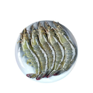 等渔号 盐冻厄瓜多尔白虾 17-21cm 32-49只 2kg
