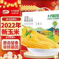 十月稻田 五常鲜食玉米 2.2kg