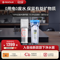 PENTAIR 滨特尔 VIR1500S 净水器母婴升级款家用厨房自来水龙头矿物质直饮过滤器