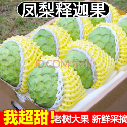 南枳牛奶释迦果 优选大果5斤装
