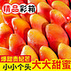 海南贵妃芒果当季新鲜孕妇水果4.8/8.3斤红金龙芒果