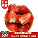 甜莓小康 丹东99草莓 3斤活动款（单果25g-30g）