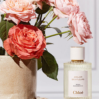 Chloé 蔻依 仙境花园系列 大马士革玫瑰女士淡香精 EDP 150ml