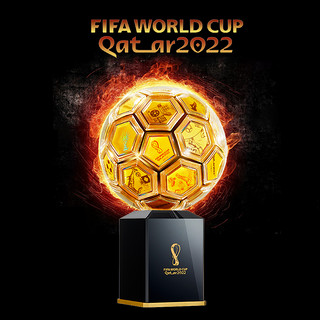 抖音超值购：胜利荣耀 幸运金球·2022年卡塔尔FIFA世界杯纪念版