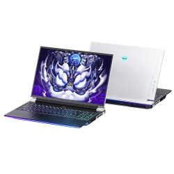 MACHENIKE 机械师 曙光16Pro 16英寸游戏本（i9-13900HX、32GB、1TB、RTX 4070）