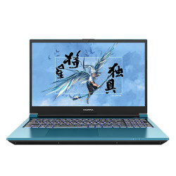 COLORFUL 七彩虹 将星X15-AT 15.6英寸游戏本（i5-13500HX、16GB、512GB、RTX4060、144Hz） 苍珀蓝