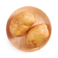 沱沱工社 有机土豆 500g 农场直供 烧烤食材 新鲜蔬菜
