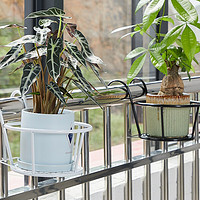 WOJIA 蜗家 阳台铁艺护栏悬挂花架 白色加长版18cm-一只装