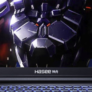 Hasee 神舟 战神 G9R9 十三代酷睿版 17.3英寸 游戏本 黑色（酷睿i9-13900H、RTX 4070 8G、16GB、1TB SSD、2.5K、IPS、165Hz）