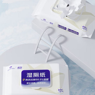 Lam Pure 蓝漂 京东PLUS会员联名 湿厕纸 40片*10包