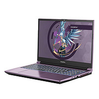 COLORFUL 七彩虹 将星X15 AT 15.6英寸游戏本（i9-13900HX、16GB、512GB、RTX4070）