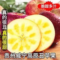 优仙果 贵州威宁高原冰糖心丑苹果 精选4斤装 单果65mm+
