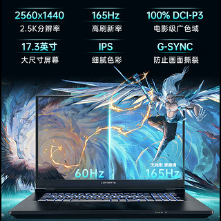 COLORFUL 七彩虹 将星X17 Pro 17.3英寸游戏本（i9-13900HX、32GB、1TB、RTX4070）