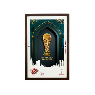 抖音超值购：胜利荣耀·2022年卡塔尔FIFA世界杯纪念银章挂画