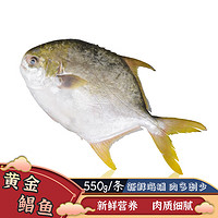 MPDQ 深海冷冻金鲳鱼袋装 550g/袋