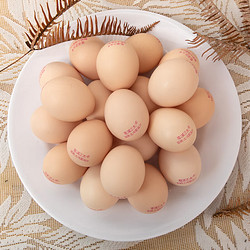 葛溪正太 有机鲜鸡蛋  10枚（50-55g/枚）