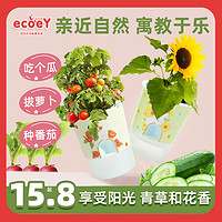 抖音超值购：ecoeY 生态E园 儿童种植，春季客厅清新栽培小盆栽