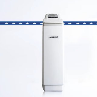 EVERPURE 爱惠浦 PWCEF10系列 软水机